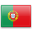 Portuguese Flag